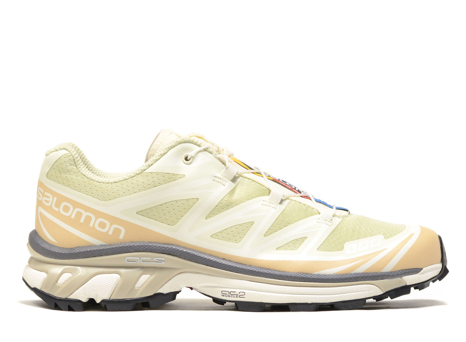 Salomon Advanced XT-6 | Aloe Wash/Hazelnut/Feather Gray