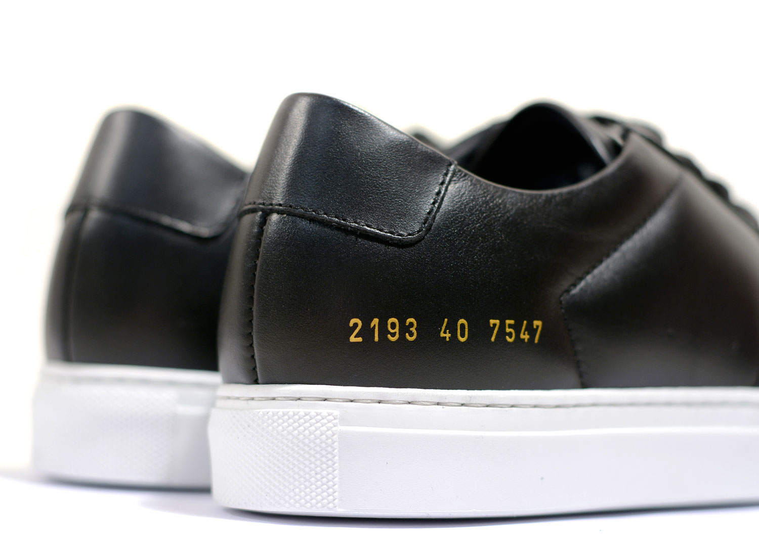 bball common projects