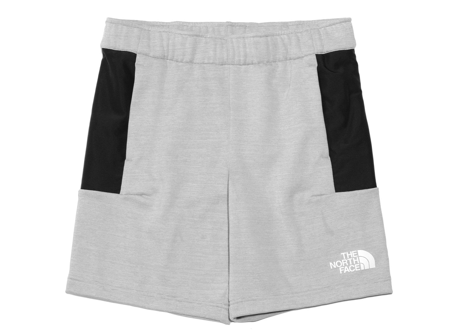 The north on sale face shorts grey