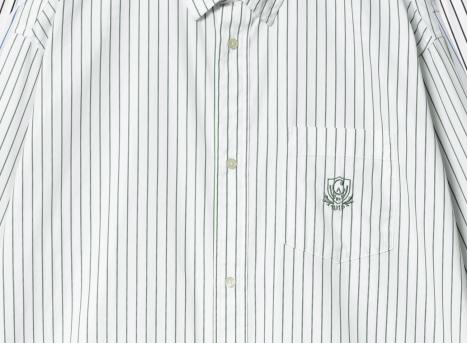 Carhartt Linus Stripe Shirt Chervil / White I033029