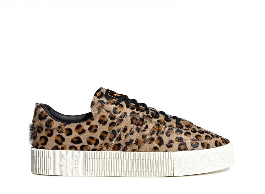 sambarose leopard