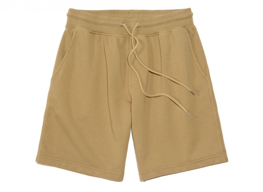 Fitted sweat shorts 2025