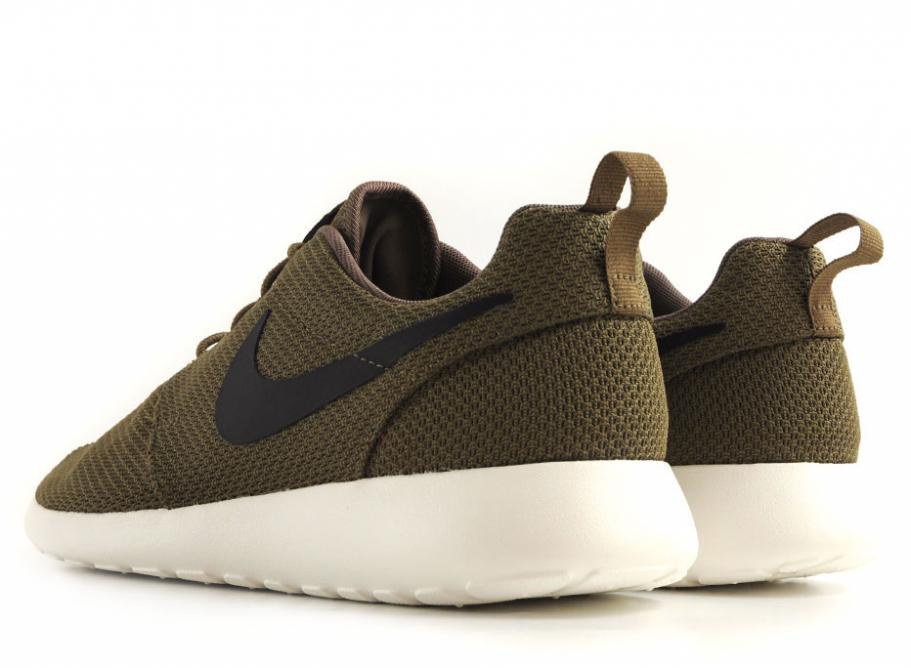 roshe run iguana