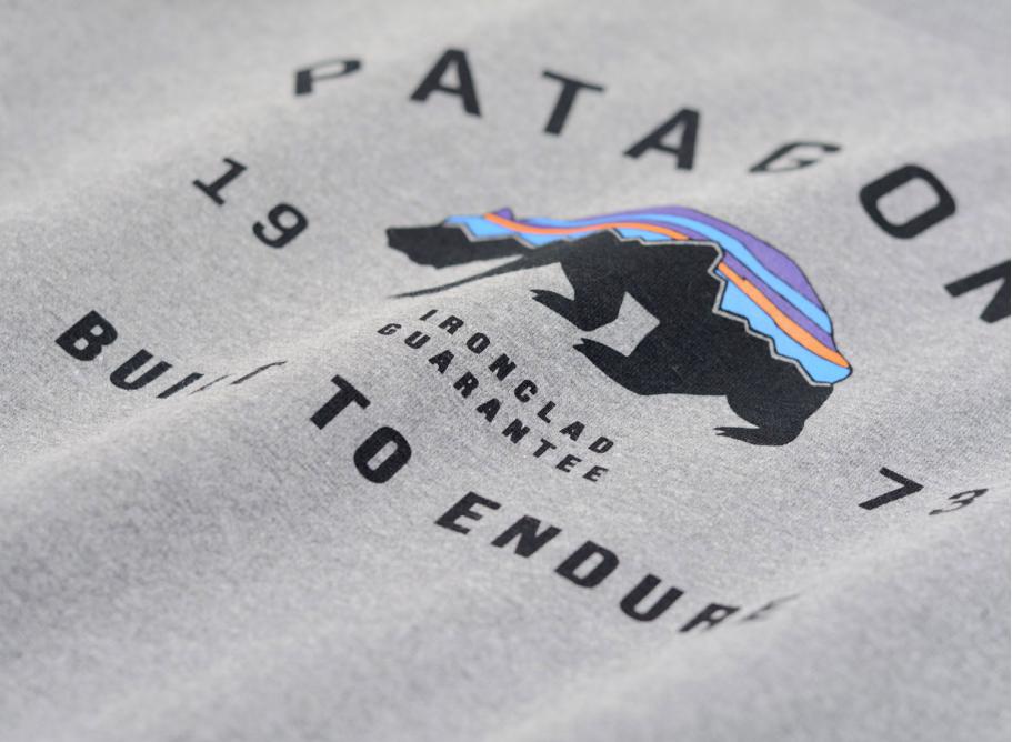 Patagonia arched shop fitz roy bear