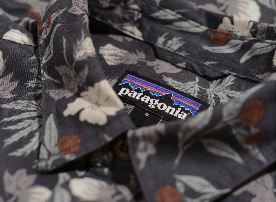 Patagonia back step hot sale