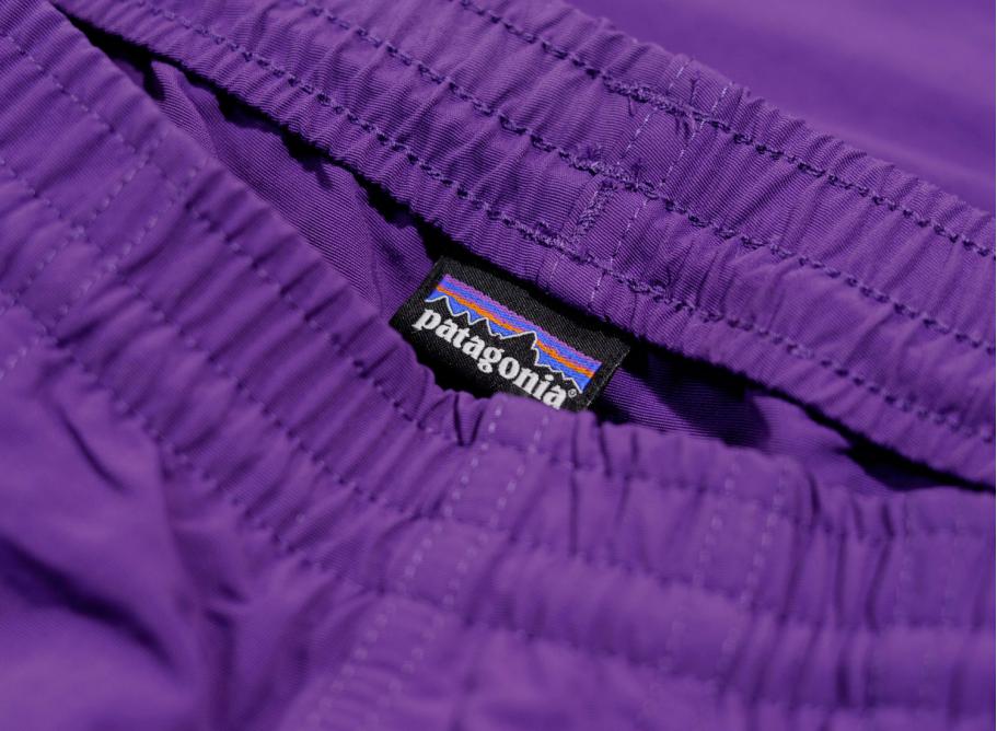 Patagonia best sale purple baggies