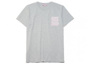Bisous Skateboards Slime Tshirt Sport Grey