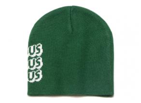 Bisous Skateboards Sonics Beanie Forest