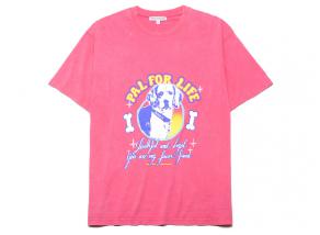 Bisous Skateboards Tshirt Pal 4 Life Washed Pink