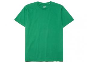 Colorful Standard Classic Organic Tee Kelly Green