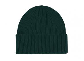 Colorful Standard Merino Wool Beanie Emerald Green