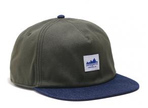 Patagonia Range Cap Pine Needle Green