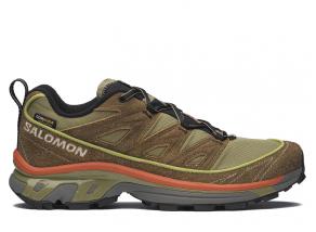 Salomon XT-6 Expanse Escape Dark Earth / Aloe / Burnt Ochre L47795200