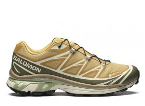 Salomon XT-6 GTX Antelope / Icicle / Portabella L47581000