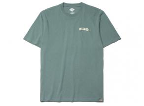 Dickies Elliston Tee Forest Green DK0A4YRMH15
