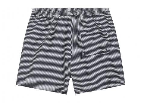 Carhartt Slater Swim Trunks Arvin Stripe Space I035063