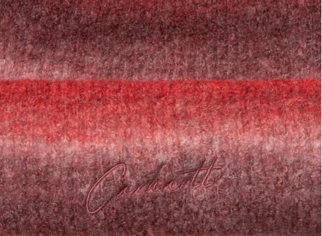 Carhartt WIP Tony Beanie Tony Stripe Jacquard Palisander I035463_3DK_XX_06