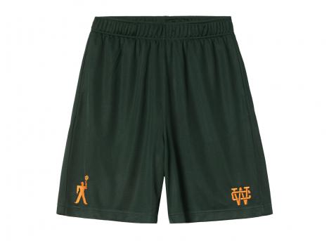 Carhartt Detroit Mesh Short Conifer I034627
