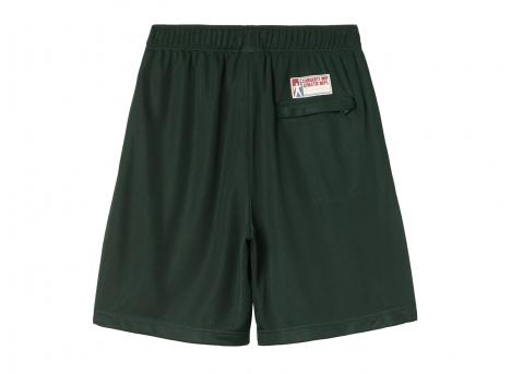 Carhartt Detroit Mesh Short Conifer I034627