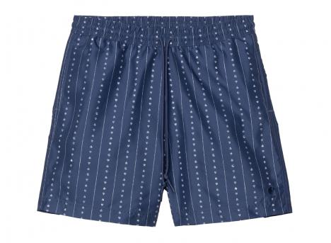 Carhartt Slater Swim Trunks Heart C Pinstripe Ink / Natural I035063