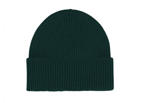 Colorful Standard Merino Wool Beanie Emerald Green