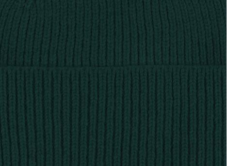 Colorful Standard Merino Wool Beanie Emerald Green