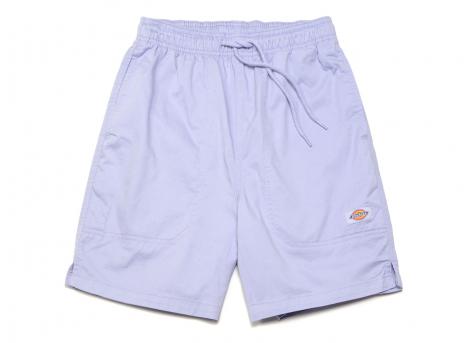 Dickies Pelican Rapids Short Cosmic Sky DK0A4XB2H18