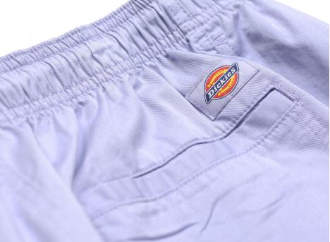 Dickies Pelican Rapids Short Cosmic Sky DK0A4XB2H18