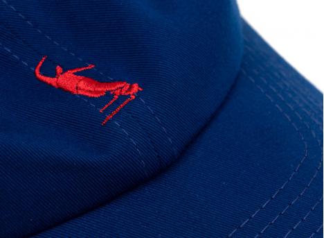 Magenta PWS Dad Hat Deep Blue