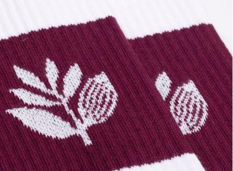 Magenta Stripe Socks White