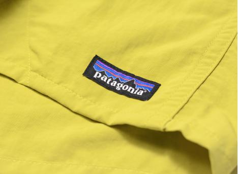 Patagonia Baggies Short 5 In. Bundle Green