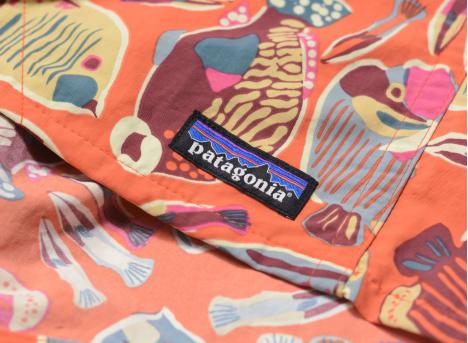 Patagonia Baggies Short 5 In. Pollinator