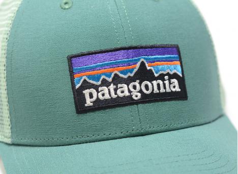 Patagonia P-6 Logo LoPro Trucker Hat Heartleaf Green