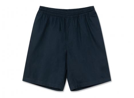 Polar Skate Co Surf Shorts New Navy