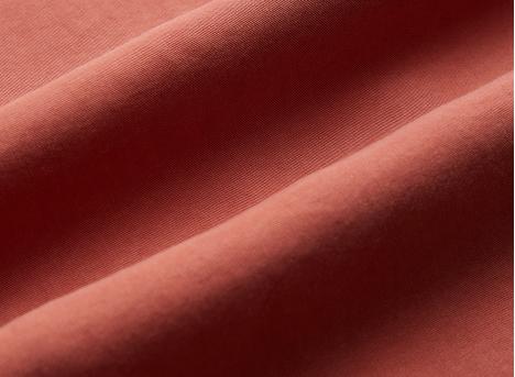 Portuguese Flannel Dogtown Shirt Terracota