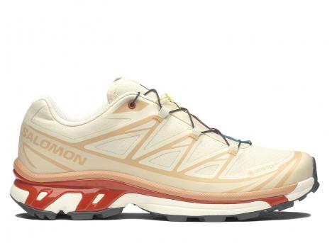 Salomon XT-6 GTX Almilk / Softc / Burnt Ochre L47865200