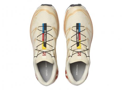 Salomon XT-6 GTX Almilk / Softc / Burnt Ochre L47865200