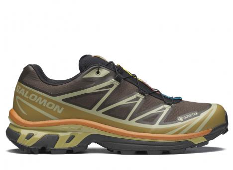 Salomon XT-6 GTX Delicioso / Tea L49202100