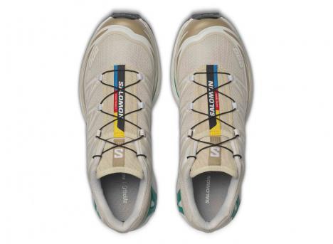 Salomon XT-6 Rainy Day / Chinchilla / Dygn L47864300