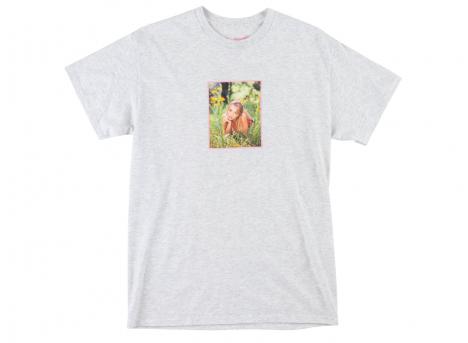 Welcome Skateboards x Britney Spears Daisies Tee Grey