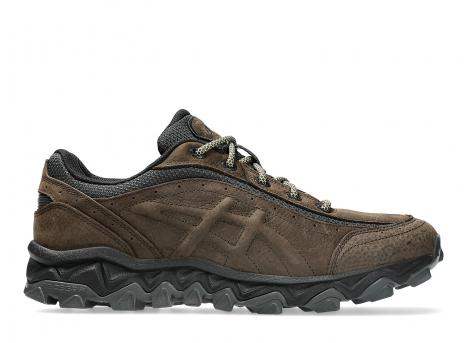 Asics Gel-Transcend Fj Black Coffee / Graphite Grey 1203B050-200