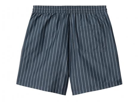 Carhartt Slater Swim Trunks Cason Stripe Aop Blue I031536