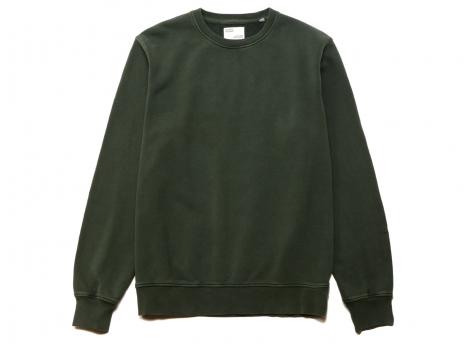 Colorful Standard Classic Organic Crew Midnight Forest