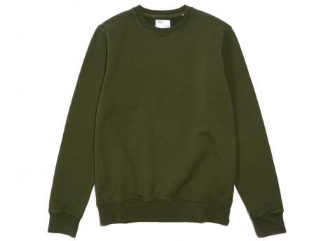 Colorful Standard Classic Organic Crew Seaweed Green