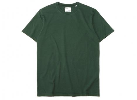 Colorful Standard Classic Organic Tee Emerald Green