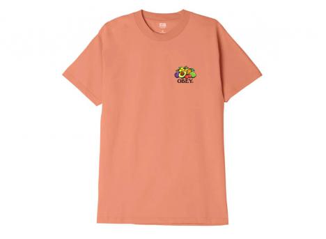 Obey Bowl Of Fruit Classic Tshirt Citrus
