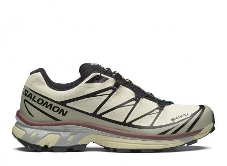 Salomon XT-6 GTX Aspargus Green / Tea L49202200