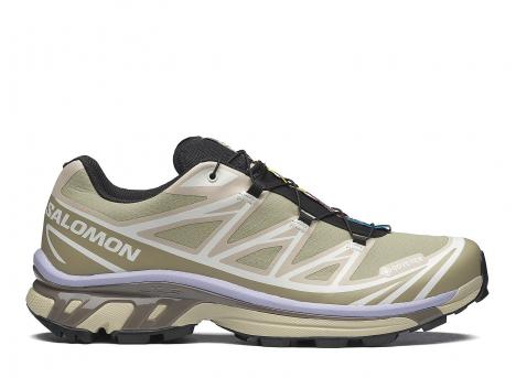 Salomon XT-6 GTX Eucalyptus / Silver Sage L49202300