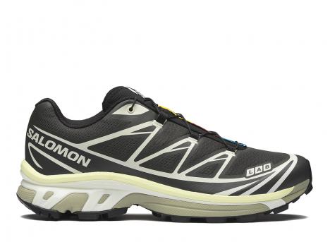 Salomon XT-6 Peat / Icicle / Lime Cream L49213200