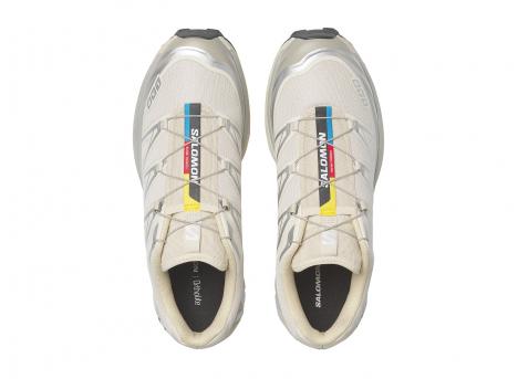 Salomon XT-6 Rainy Day / Paloma / Ftw Silver Silver L47988000